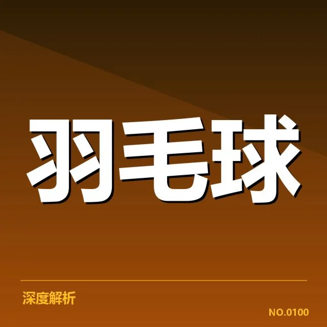 丹麦队员和赛事数据核实体现